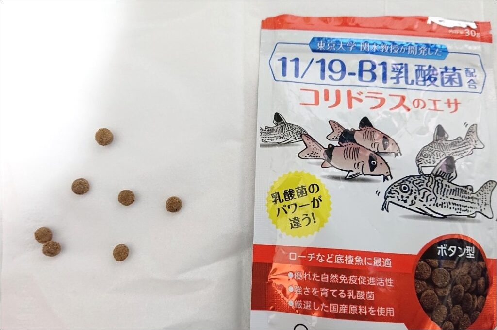 混泳時のおすすめの餌は ミナミヌマエビとメダカ ドジョウ コリドラスにあげているモノを紹介 グリーンウォーター